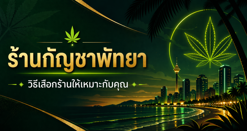 ร้านกัญชาพัทยา พร้อมคำแนะนำวิธีเลือกร้านให้เหมาะกับคุณ