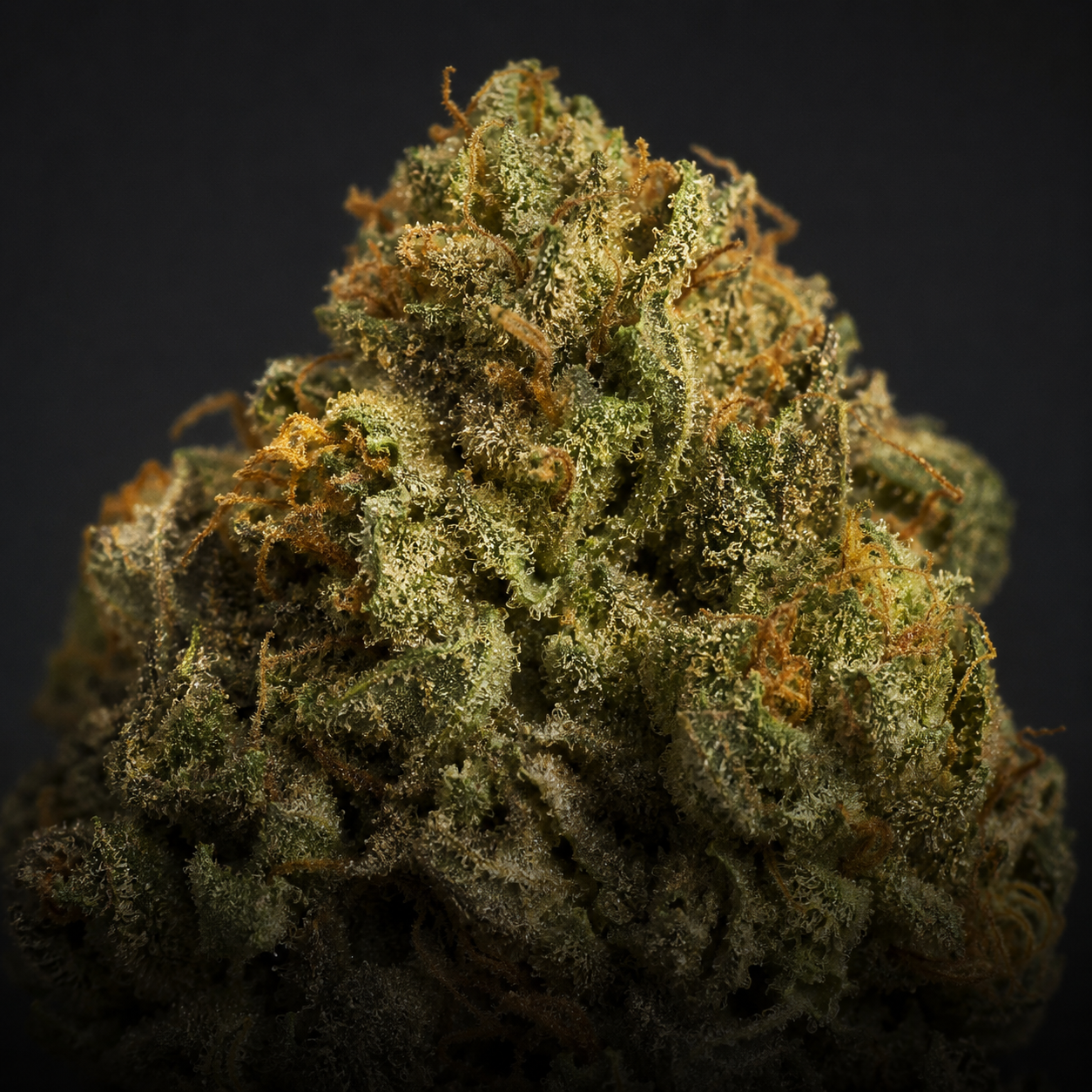 Close-up cannabis flower showing trichomes and natural resin